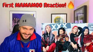 MAMAMOO - "HIP" MV Reaction! (Half Korean Reacts)