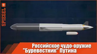 Российское чудо-оружие "Буревестник" Путина | Spiegel на русском