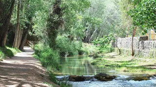 Conoce Chelva a través de la Ruta del Agua #MediterráneoEnAcción