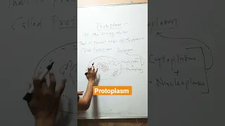 Protoplasm of Cell