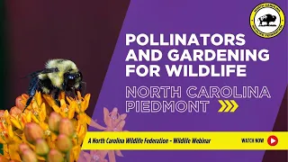 North Carolina Piedmont: Pollinators and Gardening for Wildlife (NC Wildlife Federation Webinar)