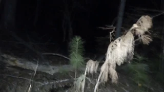 Alabama Bigfoot Freaked out and a stopped hunt.