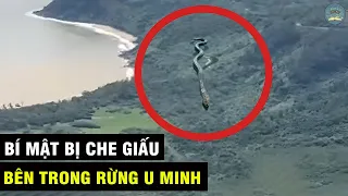 Bí Mật Bị CHE GIẤU Bên Trong RỪNG U MINH Khiến Hàng Triệu Người RUN SỢ | TUYỆT MẬT TV