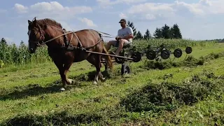 СЕЗОН СІНОКОСУ ЗАКРИТО 👌/КОНІ В РОБОТІ/КОНІ ВАГОВОЗИ/КОНІ В УКРАЇНІ