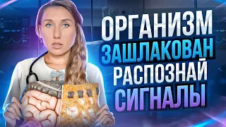 Что такое зашлакованность организма? Причины, стадии и симптомы