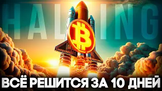 Биткоин Халвинг 80 000 Это Минимум! Криптовалюта Большой Прогноз Перед Bitcoin Халвингом