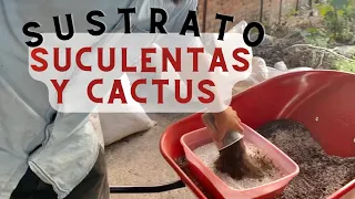 Cómo preparar sustrato para suculentas y cactus