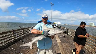 Fishing on Galveston Pier and shark destroys net