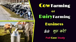 How to Start Cow Farming or Dairy Farming With Full Case Study? – [Hindi] – Quick Support