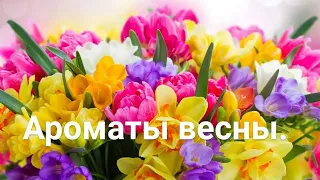 Бюджетные ароматы на 8 мартаВесенние ароматыАроматы весны и цветов.