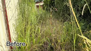 Overgrown and Neglected due to Back Injury | Full Transformation FOR FREE #satisfyingvideo