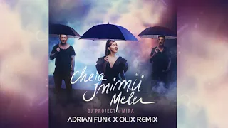 DJ Project X MIRA - Cheia Inimii Mele (Adrian Funk X OLiX Remix)