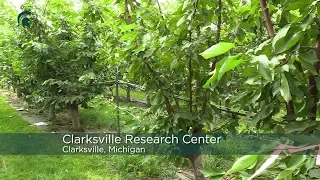 Greg Lang Clarksville Research Center