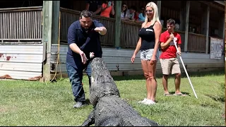 The Texas Bucket List - Gator Country in Beaumont