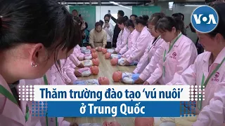 Thăm trường đào tạo ‘vú nuôi’ ở Trung Quốc | VOA Tiếng Việt