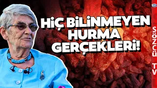 Hurmada Tehlike Varmış! Şekeriniz Birden Fırlayabilir! Canan Karatay Hurma Şekerini Anlattı