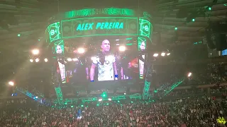 UFC 295 Alex Pereira Entrance vs Jiri Prochazka 11/11/23 MSG