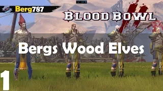 Blood Bowl 2 | Bergs Wood Elves | Match 1 | Dark Elves