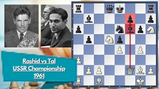 Tartar Sauce || Nezhmetdinov vs Tal || USSR Championship 1961