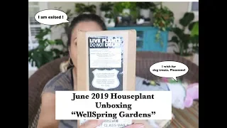 June 2019 Houseplant Unboxing//WellSpring Gardens/Rare Houseplants