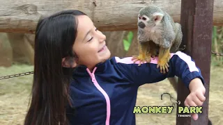 Monkey Park Tenerife