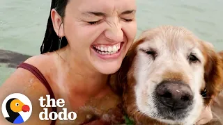 Woman's Had Her Soul Dog Since She Was 15 | The Dodo