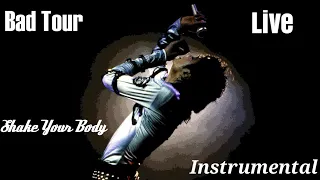 Michael Jackson - Shake Your Body (Down To The Ground) (Live Instrumental Bad Tour Version)