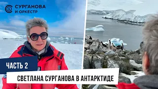 Светлана Сурганова в Антарктиде. Часть 2