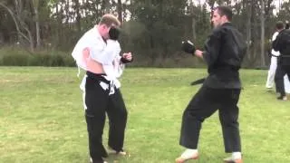Goju Ryu Karate Kumite with knockout | Goju Ryu Karate do Seiwakai | Kumite