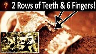Ancient Civilization Of Giants Exposed❔ 🧍‍♂️🚶‍♂️
