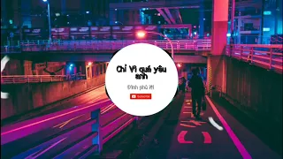 (Phiên Âm Tiếng Việt) Chỉ vì quá yêu anh, Đinh Phù Ni, Nhạc TikTok Music)