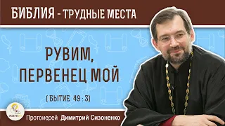 Рувим, первенец мой ( Бытие 49:3) Протоиерей Димитрий Сизоненко. Толкование Ветхого Завета. Библия