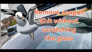 Tesla model y removal of seagull shit with scratching the glass !