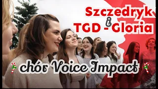 SZCZEDRYK i GLORIA - TGD | Chór Voice Impact | COVER