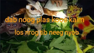 dab plas koos kaim los nrog neeg nyob txaus ntshai heev li