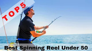 Best Spinning Reel Under 50 in 2022 | Top 5  Budget Spinning Reels On Amazon