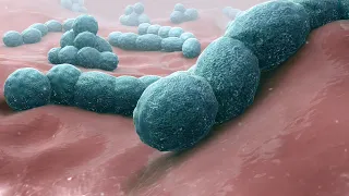 Introduction to the Microbial World