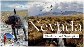 Nevada Chukar and Huns! pt. 1 My First Time in NV!