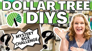 😱You will never look at DOLLAR TREE ITEMS the same way again! MYSTERY BOX CHALLENGE DIYS