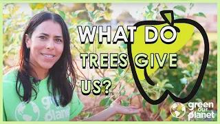 What Can We Do With a Tree? (Kindergarten, Lesson 7 from Green Our Planet Curriculum)