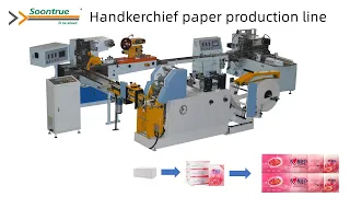 Pocket tissue manufacturing line - Soontrue tissue machine