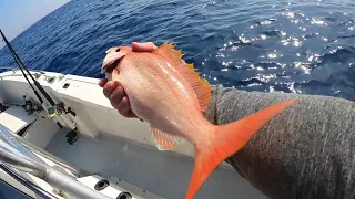 Stuart, FL  snapper fishing trip.. trolling and bottom fishing