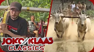 Bullensurfen: Schmitti & Klaas leiden in Indien | Duell um die Welt Classics | ProSieben