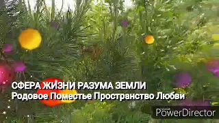 Сфера Жизни Разума Земли. Родовое Поместье - Пространство Любви.