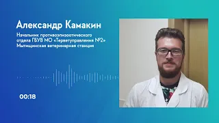 Осторожно, бешенство!