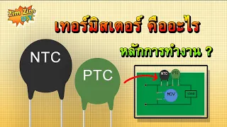 เทอร์มิสเตอร์ คืออะไร ? เทอร์มิสเตอร์ ทำงานอย่างไร ?