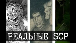 Реальные SCP - 3 (SCP-082, SCP-1176, SCP-2640)