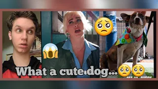 Influencer MISTREATS Her PUPPY, She Instantly Regrets It (Dhar Mann) REACTION!