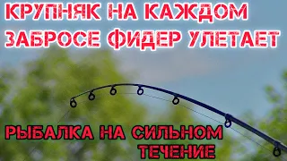 КРУПНЯК на КАЖДОМ ЗАБРОСЕ Фидер УЛЕТАЕТ РЫБАЛКА на СИЛЬНОМ ТЕЧЕНИЕ