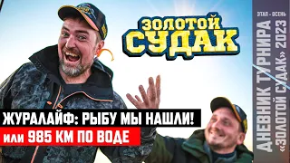 ЖУРАЛАЙФ: РЫБУ МЫ НАШЛИ! или 985 КМ ПО ВОДЕ | "Золотой Судак" 2023 | ОСЕНЬ | 1 тренировка